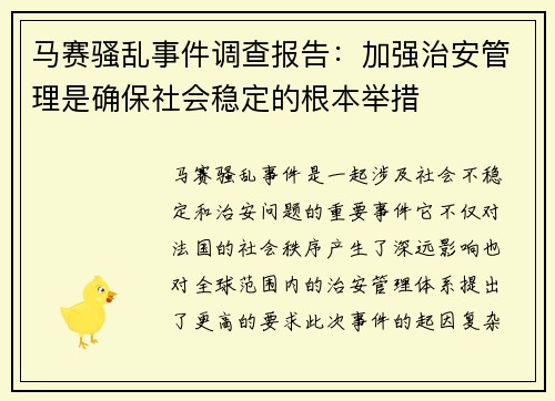 马赛骚乱事件调查报告：加强治安管理是确保社会稳定的根本举措