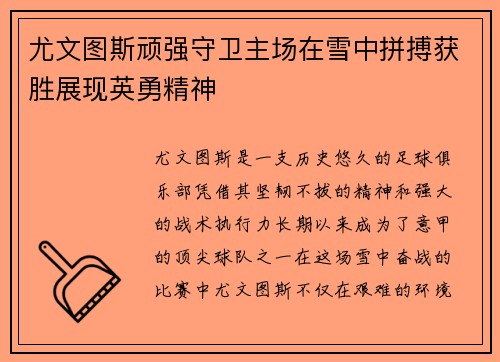 尤文图斯顽强守卫主场在雪中拼搏获胜展现英勇精神